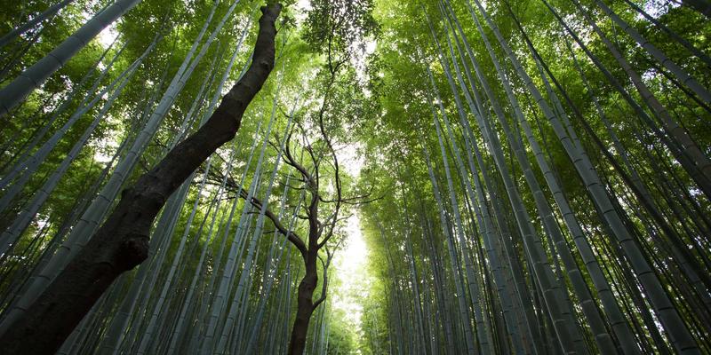 系统全面对比分析